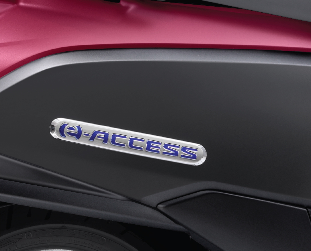 Distinctive Raised Emblems